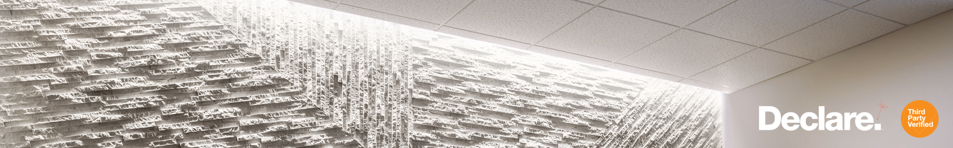 EdgeWG with Declare Logo