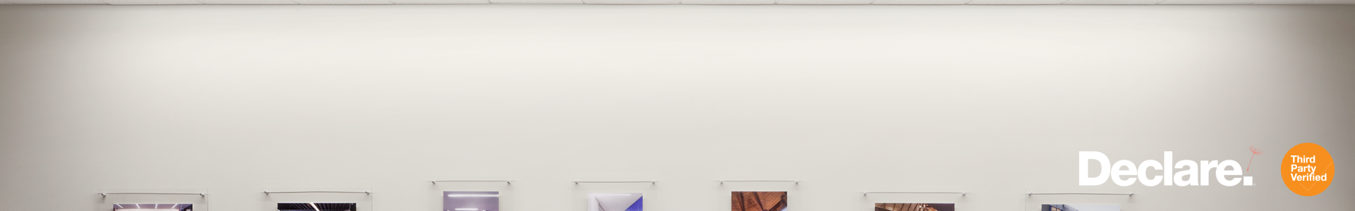 EdgeWW with Declare logo