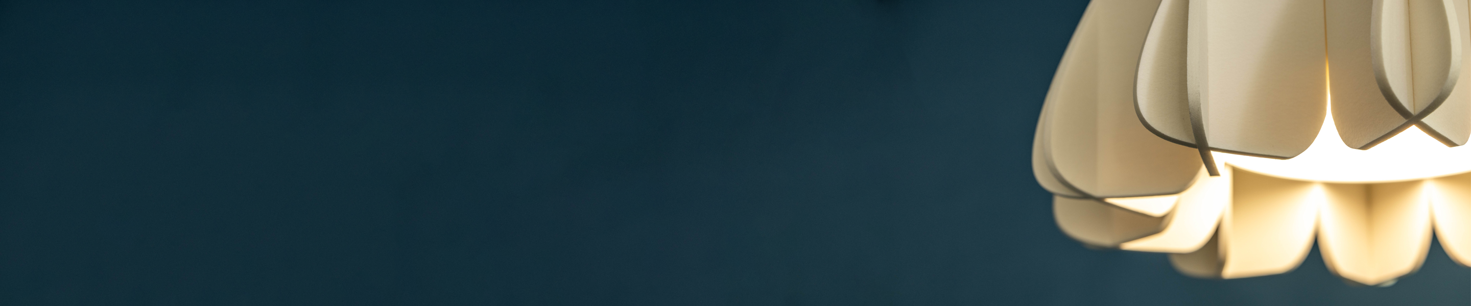 Fina Acoustic Flores