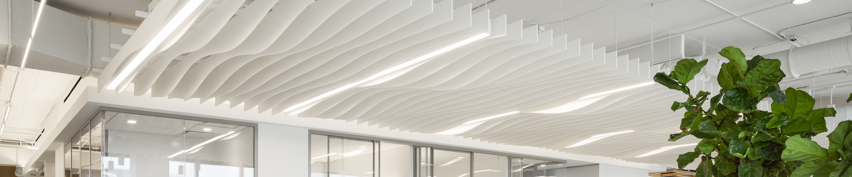 Edge 3 mixed in with acoustic pattern