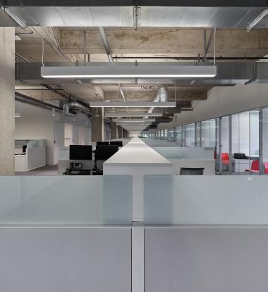 EDGE EX6 Direct/Indirect Open Office Space