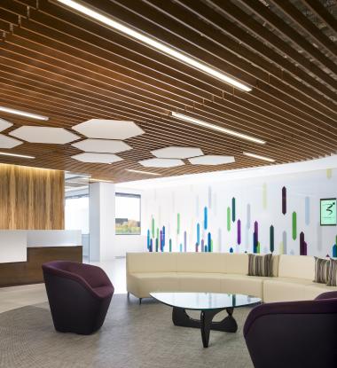 EDGE 4 Direct in Wood Slat Ceiling, Lobby