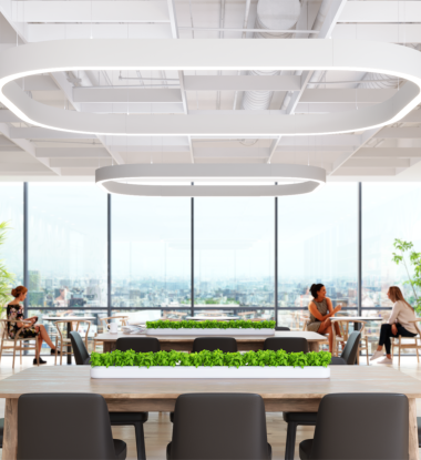 Meeting area with curved rectangles